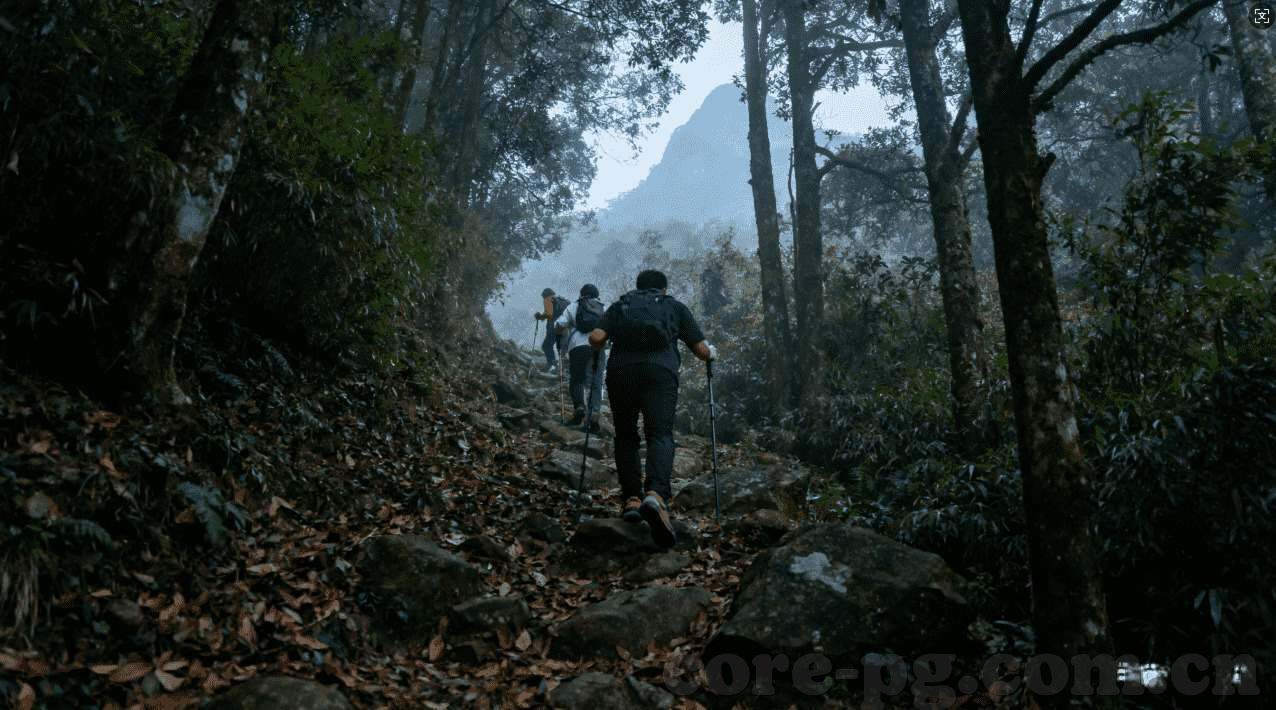 超进化物语九游版下载-超进化物语九游版下载——解锁你的生物进化之旅